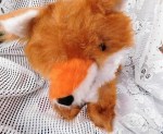 red fox regal face a